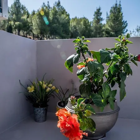 Dream House With Panoramic View In Сasa de vacaciones